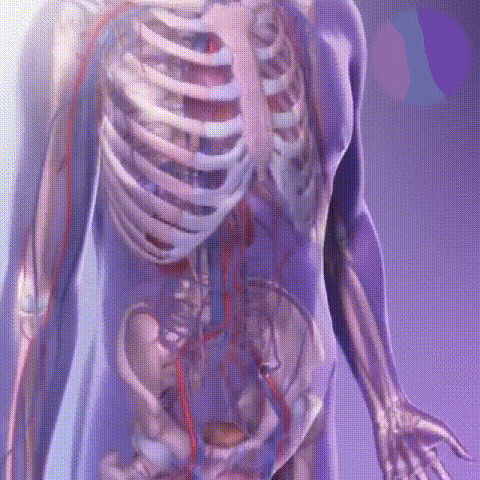 [Effective in one second]Men's Private Care Essential Oil