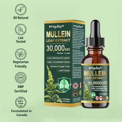 𝗢𝗳𝗳𝗶𝗰𝗶𝗮𝗹 𝗦𝘁𝗼𝗿𝗲:Organic lung-cleansing mullein leaf extract drops can relieve symptoms of cough, phlegm, asthma, and chronic obstructive pulmonary disease (COPD).