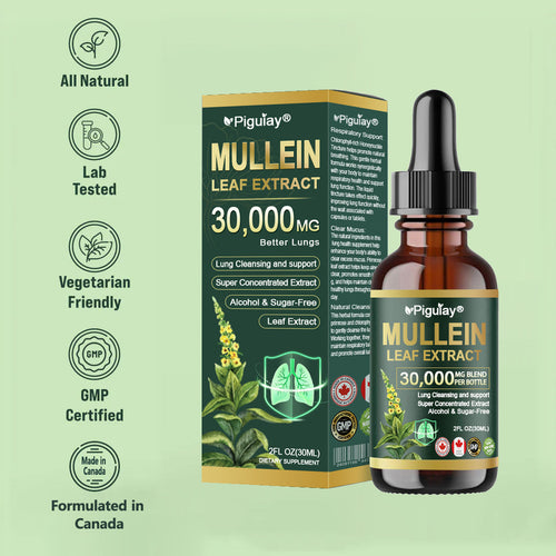 𝗢𝗳𝗳𝗶𝗰𝗶𝗮𝗹 𝗦𝘁𝗼𝗿𝗲:Organic lung-cleansing mullein leaf extract drops can relieve symptoms of cough, phlegm, asthma, and chronic obstructive pulmonary disease (COPD).