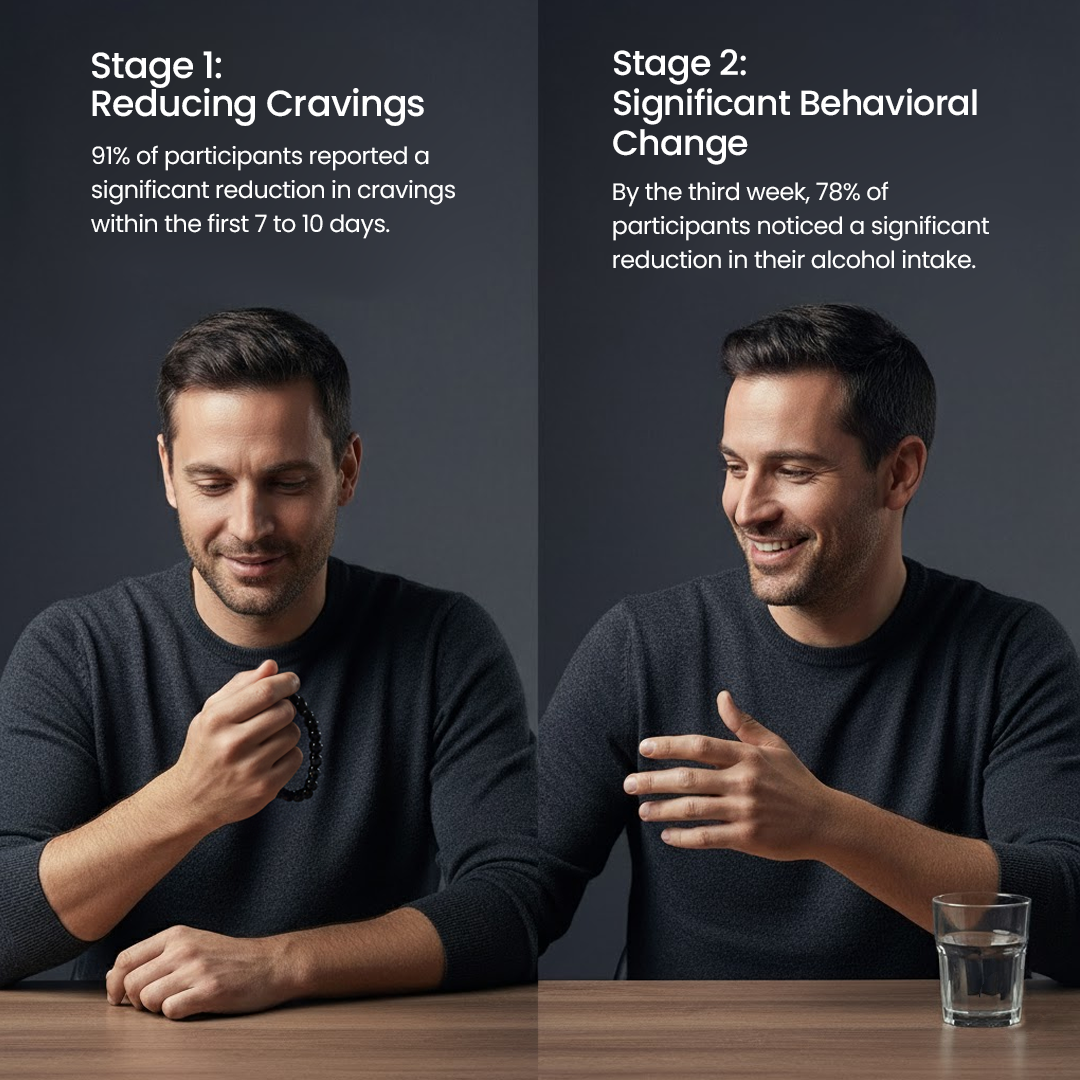 Hasecik® Anti-Alcohol Bracelet