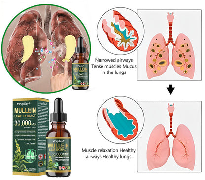 𝗢𝗳𝗳𝗶𝗰𝗶𝗮𝗹 𝗦𝘁𝗼𝗿𝗲:Organic lung-cleansing mullein leaf extract drops can relieve symptoms of cough, phlegm, asthma, and chronic obstructive pulmonary disease (COPD).