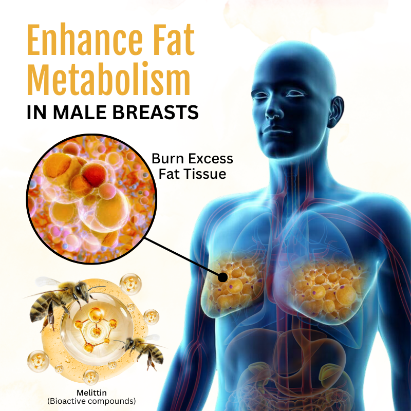 🔥Last day:50% off🔥ThermoFirm Bee Venom Gynecomastia Oil