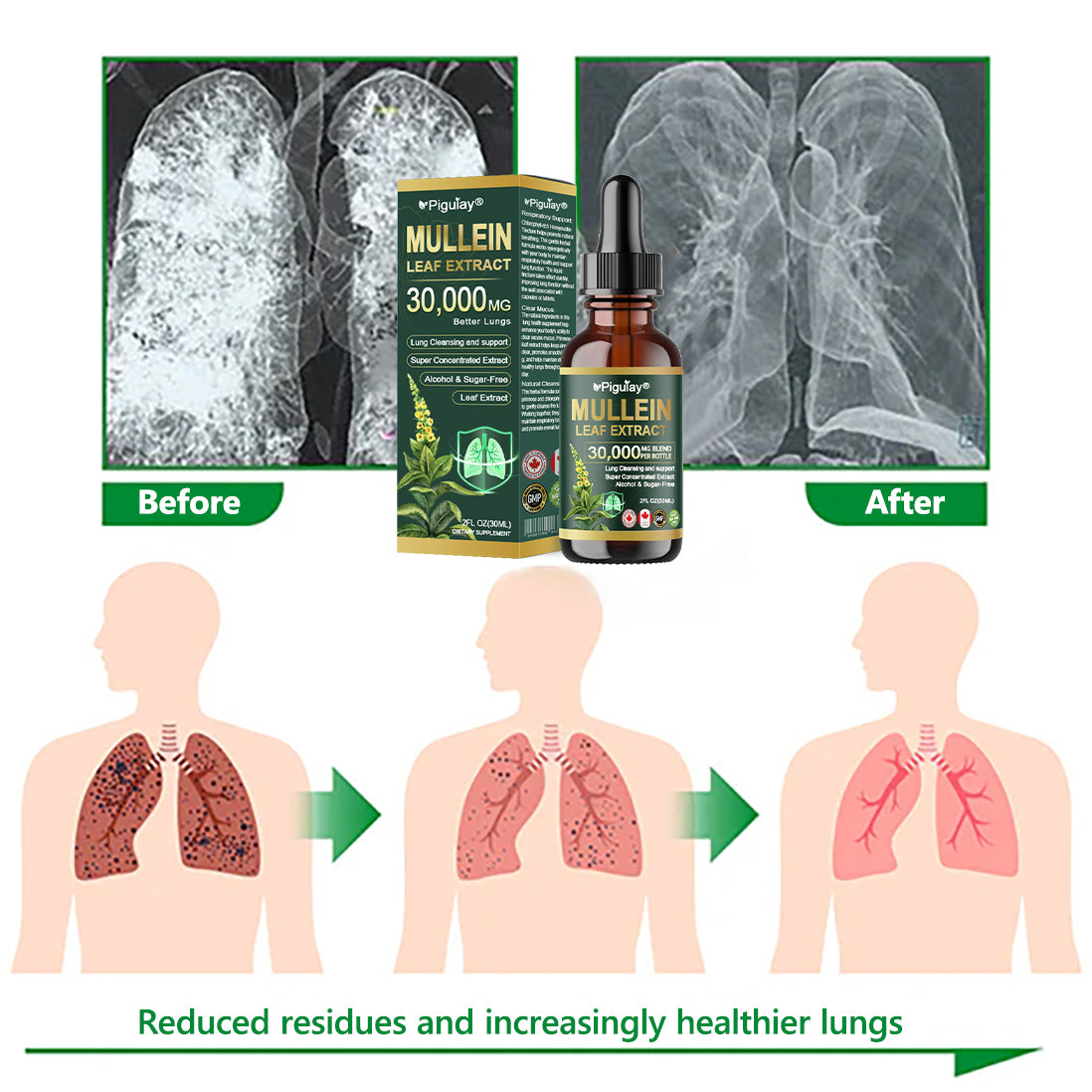 𝗢𝗳𝗳𝗶𝗰𝗶𝗮𝗹 𝗦𝘁𝗼𝗿𝗲:Organic lung-cleansing mullein leaf extract drops can relieve symptoms of cough, phlegm, asthma, and chronic obstructive pulmonary disease (COPD).