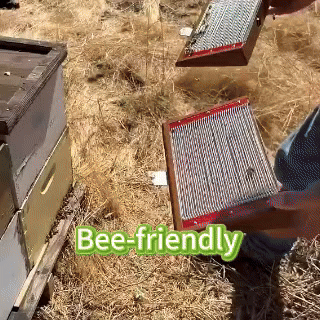 👩‍⚕️ BeeDerm RX Cream, Painless, easy and gentle fix for warts, skin tags, lumps, infections, cysts and scars🎁