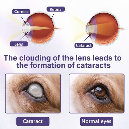 NanoCare Pet Eye Drops  👩‍⚕️ FDA Approved | Relieves Conjunctivitis, Dry Eyes, Cataracts & Keratitis 🐶🐱