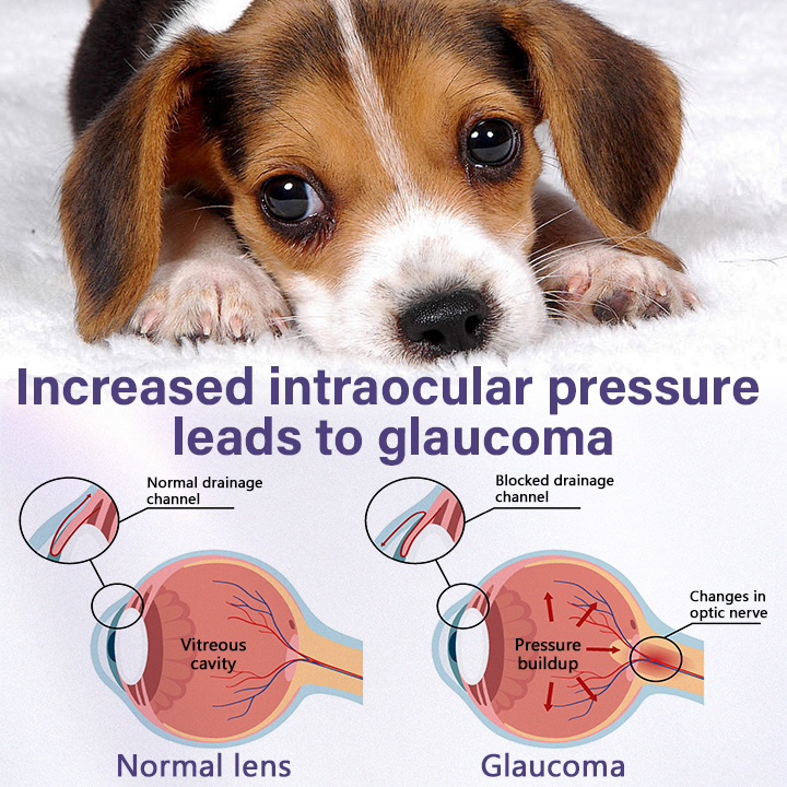 NanoCare Pet Eye Drops  👩‍⚕️ FDA Approved | Relieves Conjunctivitis, Dry Eyes, Cataracts & Keratitis 🐶🐱