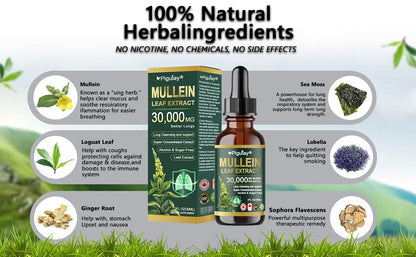 𝗢𝗳𝗳𝗶𝗰𝗶𝗮𝗹 𝗦𝘁𝗼𝗿𝗲:Organic lung-cleansing mullein leaf extract drops can relieve symptoms of cough, phlegm, asthma, and chronic obstructive pulmonary disease (COPD).