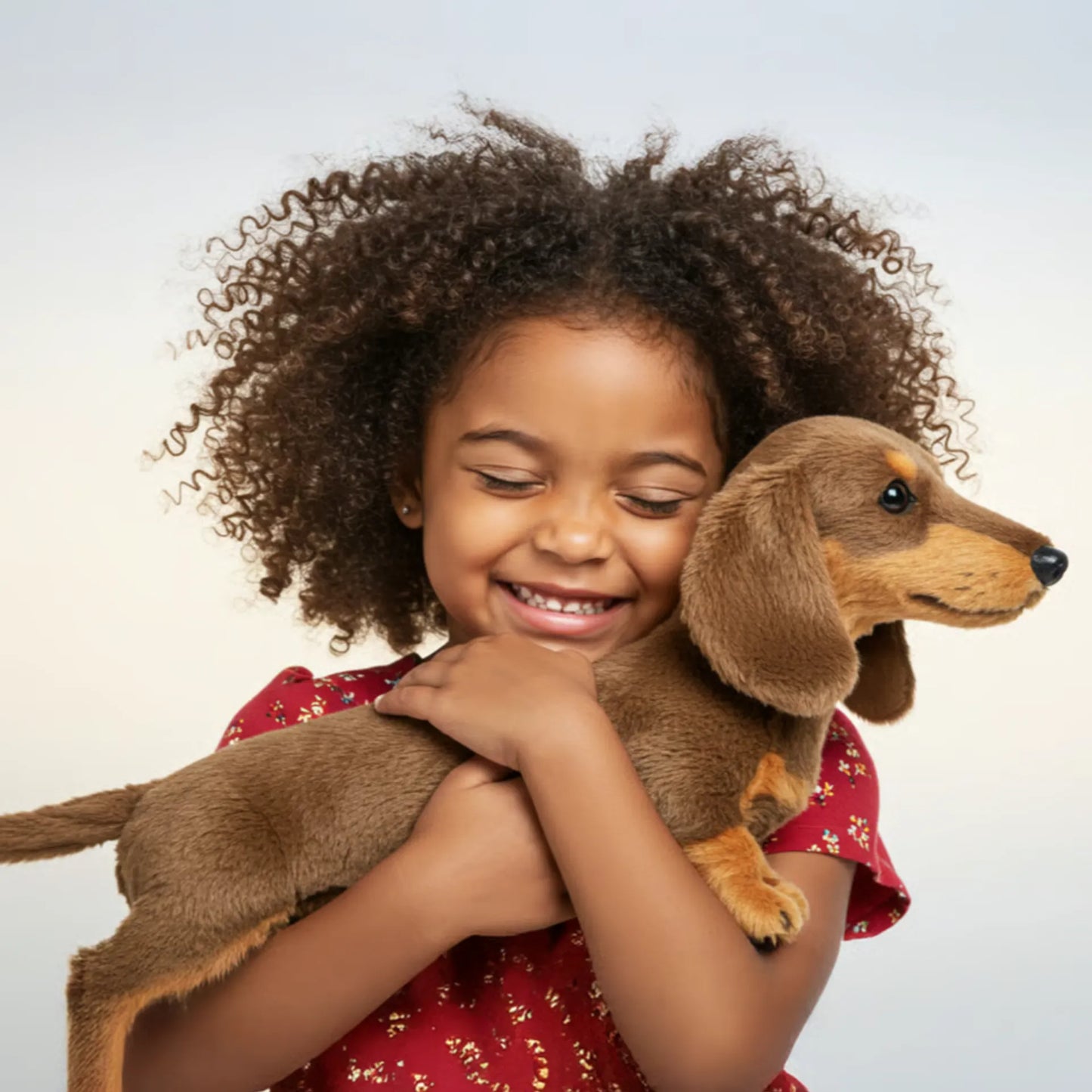 🐶 The Dachys – Emotional Healing on Demand