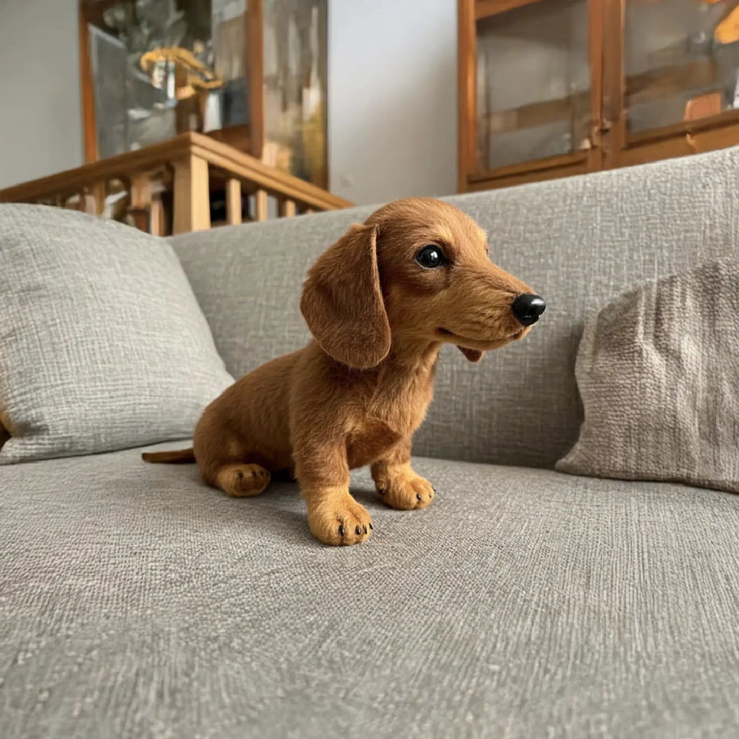 🐶 The Dachys – Emotional Healing on Demand