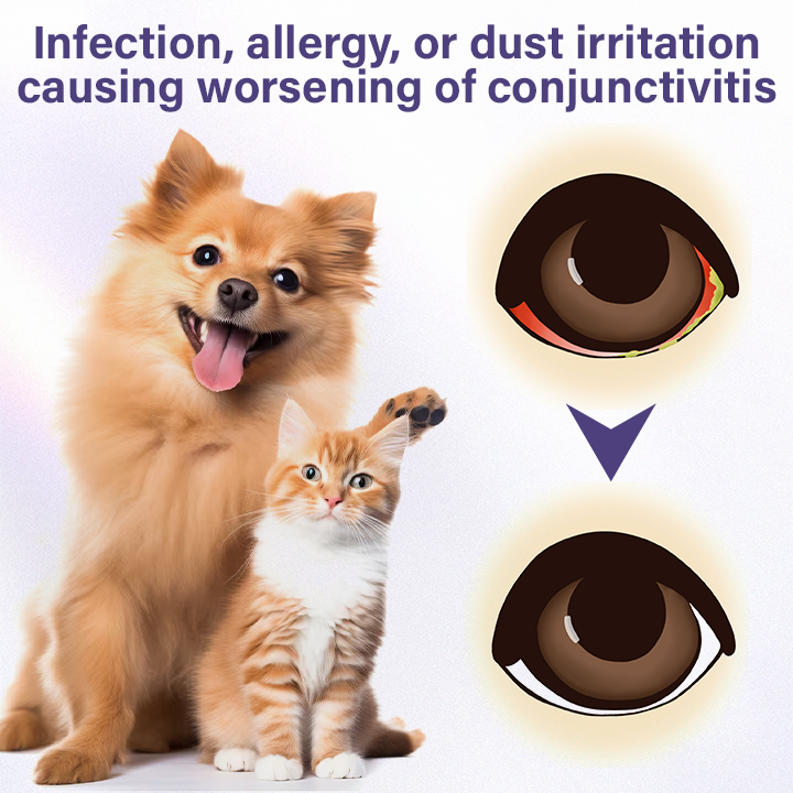 NanoCare Pet Eye Drops  👩‍⚕️ FDA Approved | Relieves Conjunctivitis, Dry Eyes, Cataracts & Keratitis 🐶🐱